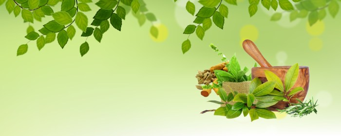 Ayurveda background.jpg